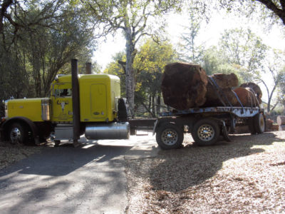 Claro walnut delivery to Grass Valley mill owned by the Woodnut and his lovely Miss Marie